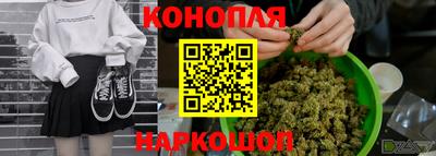 spice Заводоуковск