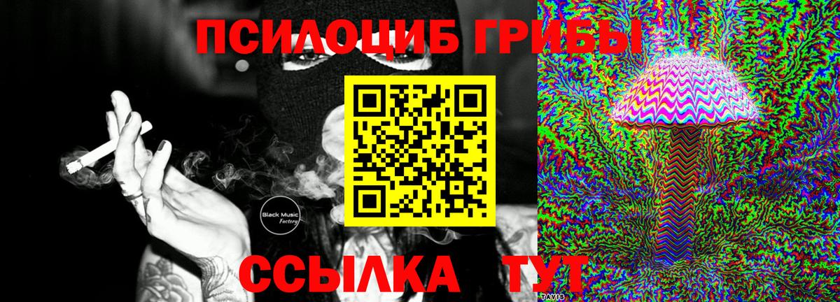 Псилоцибиновые грибы Psilocybine cubensis  Вход с VPN  Луховицы  Галлюциногенные грибы мицелий 